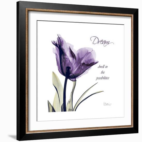 Tulip Dream-Albert Koetsier-Framed Premium Giclee Print