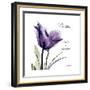 Tulip Dream-Albert Koetsier-Framed Premium Giclee Print