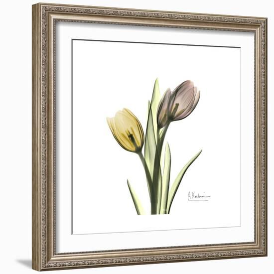 Tulip Duo-Albert Koetsier-Framed Premium Giclee Print