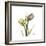 Tulip Duo-Albert Koetsier-Framed Premium Giclee Print