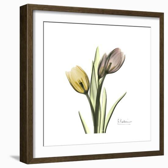 Tulip Duo-Albert Koetsier-Framed Premium Giclee Print