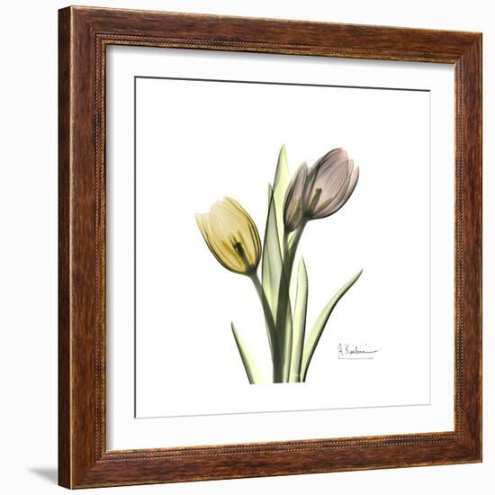 Tulip Duo-Albert Koetsier-Framed Premium Giclee Print