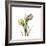 Tulip Duo-Albert Koetsier-Framed Premium Giclee Print