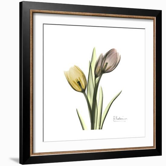 Tulip Duo-Albert Koetsier-Framed Premium Giclee Print