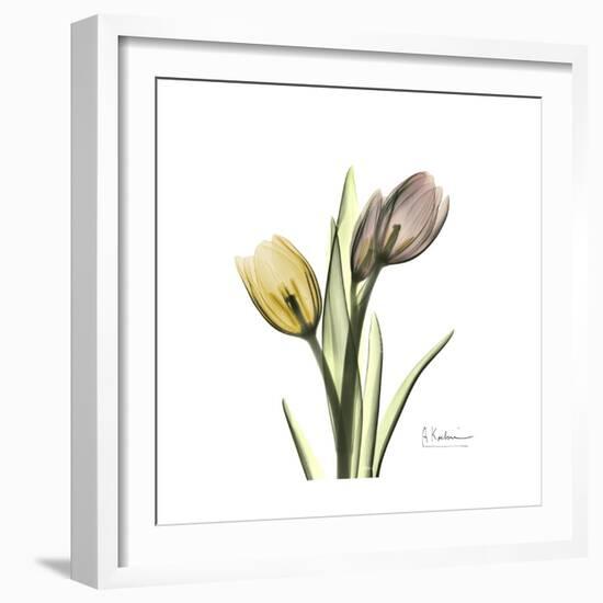 Tulip Duo-Albert Koetsier-Framed Premium Giclee Print