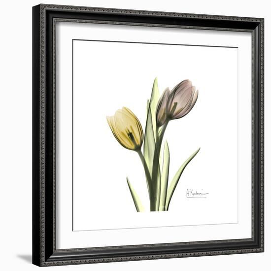 Tulip Duo-Albert Koetsier-Framed Premium Giclee Print