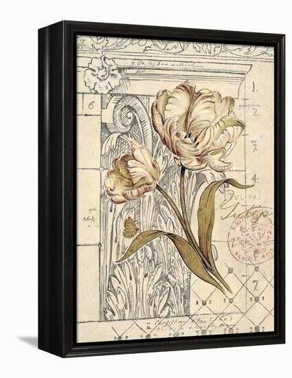 Tulip Etching-Chad Barrett-Framed Stretched Canvas