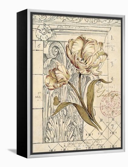 Tulip Etching-Chad Barrett-Framed Stretched Canvas