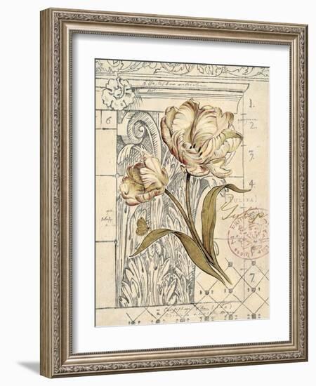 Tulip Etching-Chad Barrett-Framed Art Print