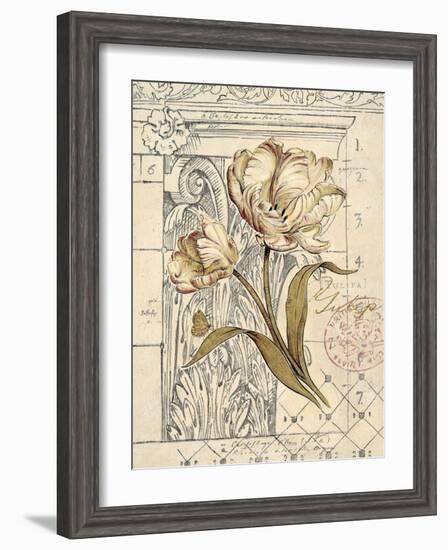 Tulip Etching-Chad Barrett-Framed Art Print