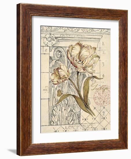 Tulip Etching-Chad Barrett-Framed Art Print