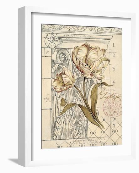 Tulip Etching-Chad Barrett-Framed Art Print