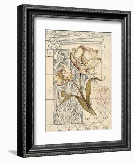 Tulip Etching-Chad Barrett-Framed Art Print