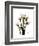 Tulip Family Portrait-Albert Koetsier-Framed Art Print