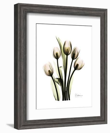 Tulip Family Portrait-Albert Koetsier-Framed Art Print