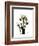 Tulip Family Portrait-Albert Koetsier-Framed Art Print