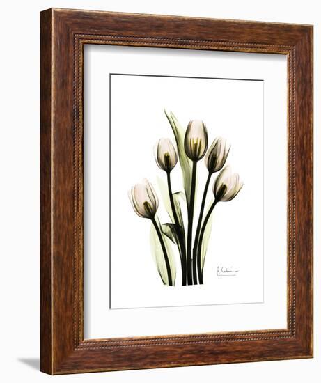 Tulip Family Portrait-Albert Koetsier-Framed Art Print