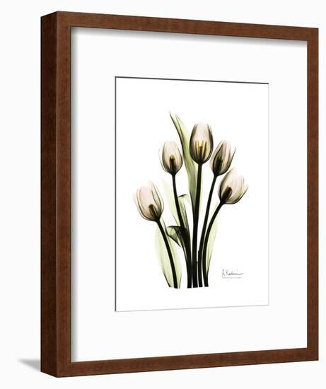 Tulip Family Portrait-Albert Koetsier-Framed Art Print
