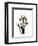 Tulip Family Portrait-Albert Koetsier-Framed Art Print