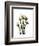 Tulip Family Portrait-Albert Koetsier-Framed Art Print