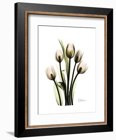 Tulip Family Portrait-Albert Koetsier-Framed Art Print