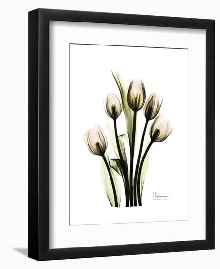 Tulip Family Portrait-Albert Koetsier-Framed Art Print