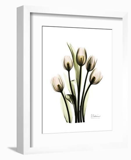 Tulip Family Portrait-Albert Koetsier-Framed Art Print