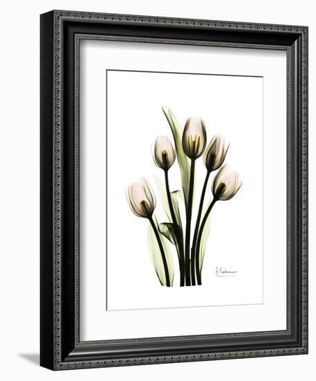 Tulip Family Portrait-Albert Koetsier-Framed Art Print