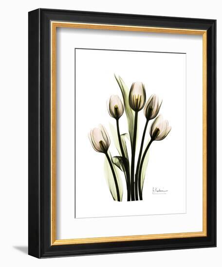 Tulip Family Portrait-Albert Koetsier-Framed Art Print