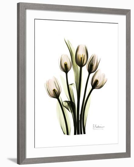 Tulip Family Portrait-Albert Koetsier-Framed Art Print