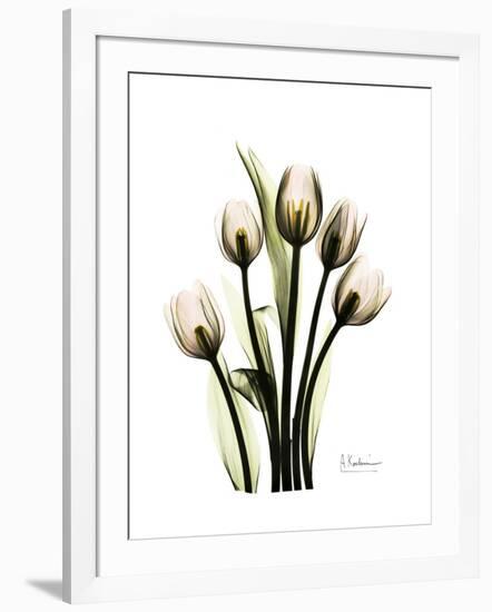 Tulip Family Portrait-Albert Koetsier-Framed Art Print