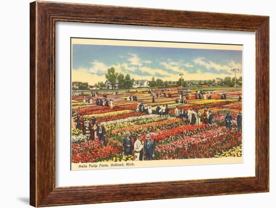 Tulip Farm, Holland, Michigan-null-Framed Art Print