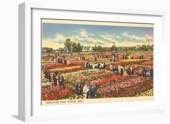 Tulip Farm, Holland, Michigan-null-Framed Art Print