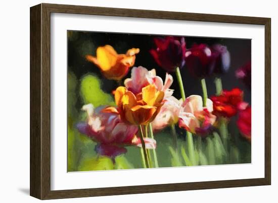 Tulip Field, 2018-Helen White-Framed Giclee Print