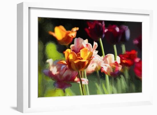 Tulip Field, 2018-Helen White-Framed Giclee Print