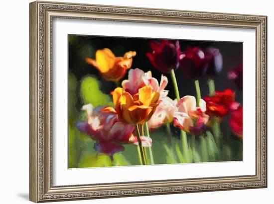 Tulip Field, 2018,-Helen White-Framed Giclee Print