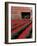 Tulip Field and Barn with Horses, Skagit Valley, Washington, USA-William Sutton-Framed Photographic Print