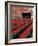 Tulip Field and Barn with Horses, Skagit Valley, Washington, USA-William Sutton-Framed Photographic Print