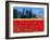 Tulip Field, Washington, USA-William Sutton-Framed Photographic Print