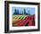 Tulip Field, Washington, USA-William Sutton-Framed Photographic Print