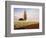 Tulip Field with Barn and Poplar Tree, Skagit Valley, Washington, USA-Charles Crust-Framed Photographic Print