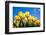 Tulip Field-ErikdeGraaf-Framed Photographic Print