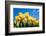 Tulip Field-ErikdeGraaf-Framed Photographic Print