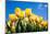 Tulip Field-ErikdeGraaf-Mounted Photographic Print