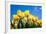 Tulip Field-ErikdeGraaf-Framed Photographic Print