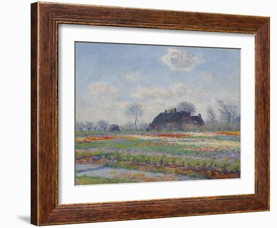 Tulip Fields at Sassenheim, 1886 (Oil on Canvas)-Claude Monet-Framed Giclee Print