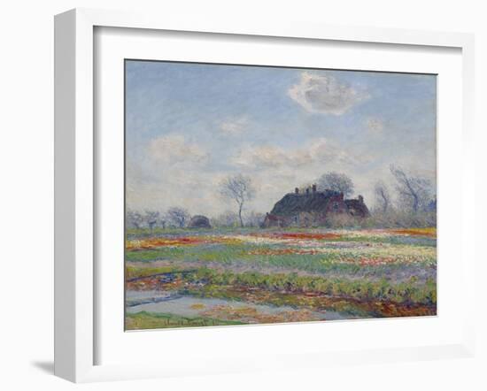 Tulip Fields at Sassenheim, 1886 (Oil on Canvas)-Claude Monet-Framed Giclee Print