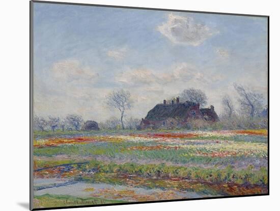 Tulip Fields at Sassenheim, 1886 (Oil on Canvas)-Claude Monet-Mounted Giclee Print