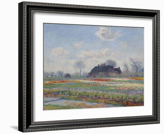 Tulip Fields at Sassenheim, 1886 (Oil on Canvas)-Claude Monet-Framed Giclee Print