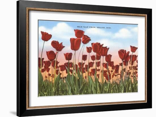 Tulip Fields, Holland, Michigan-null-Framed Art Print